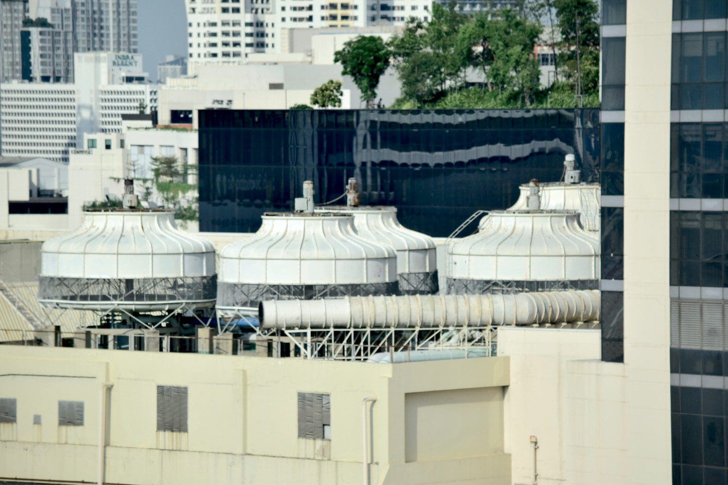 A view of some buildings and trees from the roof.