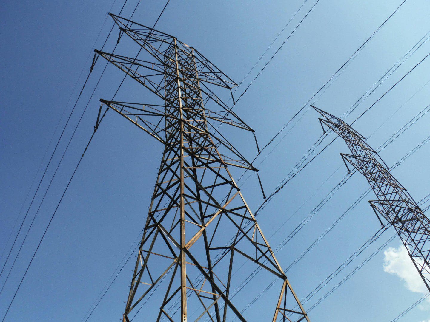 A view of some power lines from below.